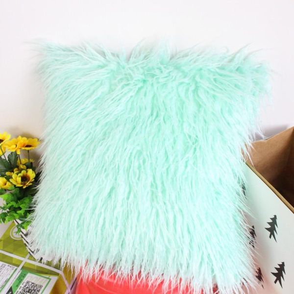 soft fur plush cushion cover throw pillow case home decorative bed room sofa decor car decoration pillowcase # cushion/decorative
soft fur plush cushion cover throw pillow case home decorative bed room sofa decor car decoration pillowcase # cushion/decorative