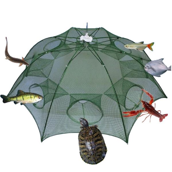 fishing accessories strengthened 6-20 holes automatic foldable net shrimp cage nylon crab fish trap cast folding network
fishing accessories strengthened 6-20 holes automatic foldable net shrimp cage nylon crab fish trap cast folding network