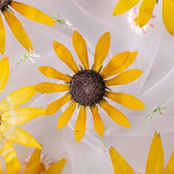 black heart chrysanthemum dry flower embossing real leaf plant specimen bookmark petal makeup table lamp candle silk fan festival gift desig
black heart chrysanthemum dry flower embossing real leaf plant specimen bookmark petal makeup table lamp candle silk fan festival gift desig