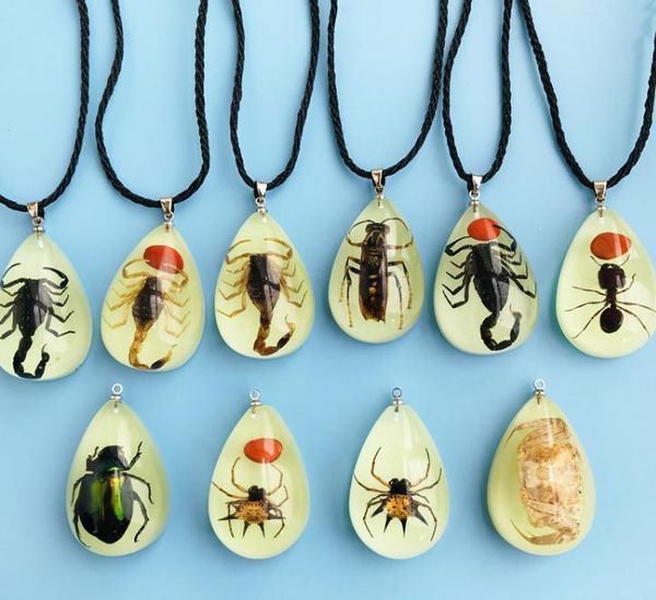 2021 new 10 pcs yqtdmy nice jewelry real scorpion glow in dark pendant, White
