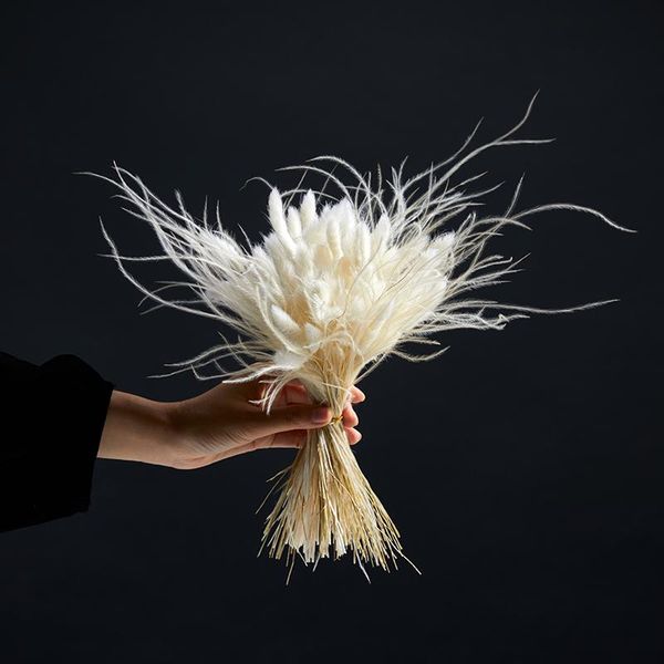 decorative flowers & wreaths dried natural tail grass feather dry flower party wedding preserved plant home office decoration
decorative flowers & wreaths dried natural tail grass feather dry flower party wedding preserved plant home office decoration