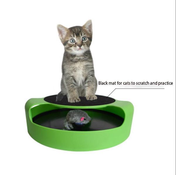 cat toys interactive with running mice and scratching pad durable safe kitten game exercise no battery needed
cat toys interactive with running mice and scratching pad durable safe kitten game exercise no battery needed