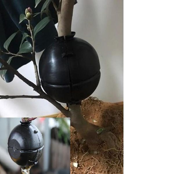 plant rooting device high pressure propagation ball box grafting propagator garden tools q40 planters & pots
plant rooting device high pressure propagation ball box grafting propagator garden tools q40 planters & pots
