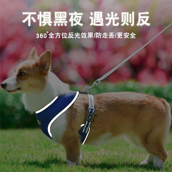 reflective training leashes pet supplies harness vest dog walking 1.5m collar leader rope for dogs cat outdoor collars &
reflective training leashes pet supplies harness vest dog walking 1.5m collar leader rope for dogs cat outdoor collars &