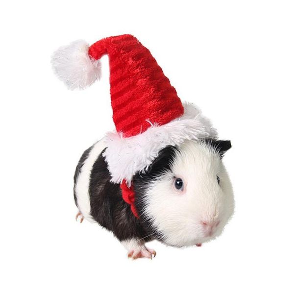 dog apparel simple style christmas guinea pig costume pet hamster chinchilla 2021 selling and convenient
dog apparel simple style christmas guinea pig costume pet hamster chinchilla 2021 selling and convenient