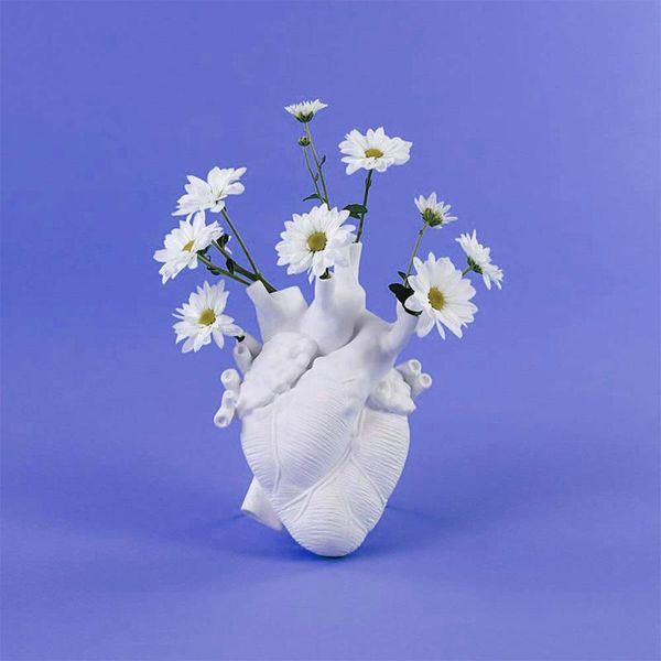 vases flower vase, nordic style anatomical heart shape sculpture deskplant pot for home decor
vases flower vase, nordic style anatomical heart shape sculpture deskplant pot for home decor