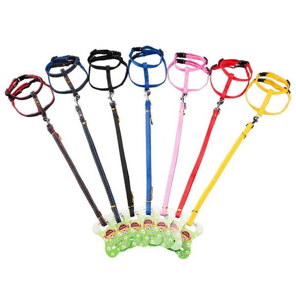 adjustable cat collar breakaway designer cute anti flea elastic leather collares para gatos pet products oo50qy collars & leads
adjustable cat collar breakaway designer cute anti flea elastic leather collares para gatos pet products oo50qy collars & leads