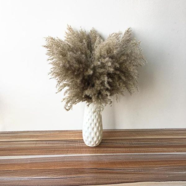 decorative flowers & wreaths 20pcs natural pampas grass reeds wedding flower bunch for home decor dried decoration phragmites
decorative flowers & wreaths 20pcs natural pampas grass reeds wedding flower bunch for home decor dried decoration phragmites