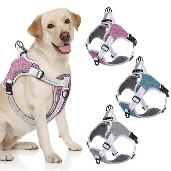 dog collars & leashes harness vest labrador german shepherd golden retriever mesh harnesses breathable adjustable for small medium large pet
dog collars & leashes harness vest labrador german shepherd golden retriever mesh harnesses breathable adjustable for small medium large pet