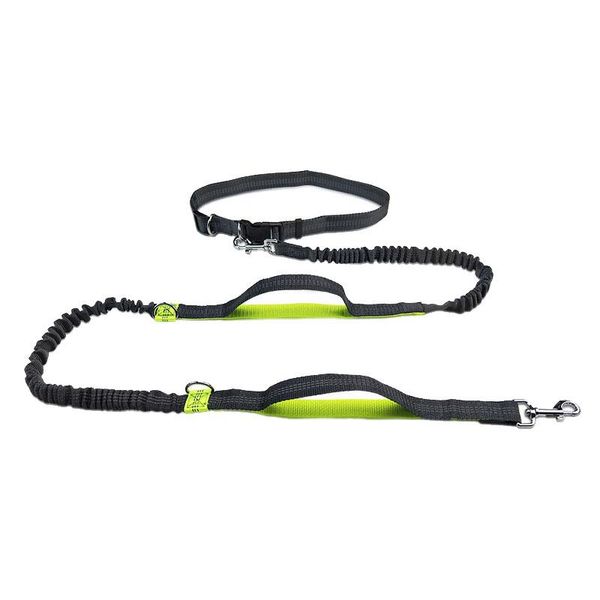 pet product dog leash running belt jogging sport adjustable nylon rope with reflective strip accessories hands collars & leashes
pet product dog leash running belt jogging sport adjustable nylon rope with reflective strip accessories hands collars & leashes