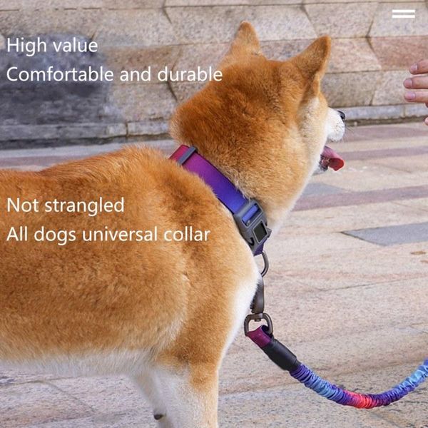 dog collars & leashes traction collar material wear comfortable reinforcement design durable adjustable pet supplies
dog collars & leashes traction collar material wear comfortable reinforcement design durable adjustable pet supplies