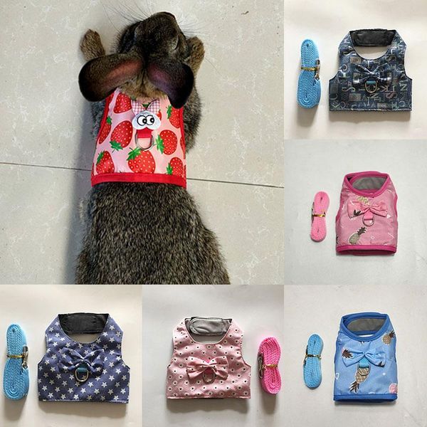 dog collars & leashes chest back mini pet supplies adjustable summer traction rope colorful printed
dog collars & leashes chest back mini pet supplies adjustable summer traction rope colorful printed