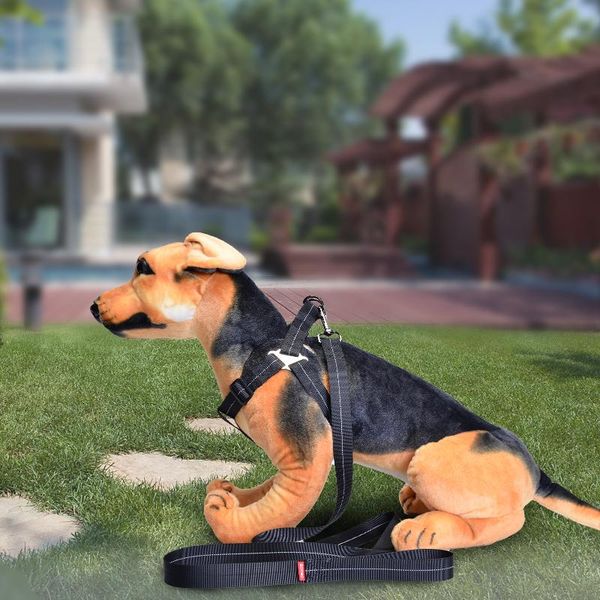 pet dog harness small chain teddy vest puppies chest strap leash set outdoor perro walking leads collars & leashes
pet dog harness small chain teddy vest puppies chest strap leash set outdoor perro walking leads collars & leashes