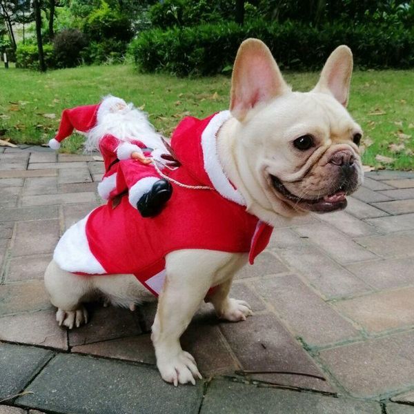 christmas dog cloth santa claus riding deer dress up costume prop pet xmas decor cotton red rompers chirstimas deco apparel
christmas dog cloth santa claus riding deer dress up costume prop pet xmas decor cotton red rompers chirstimas deco apparel