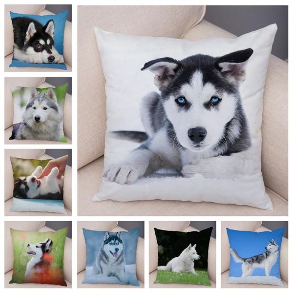 cushion/decorative pillow decor cute siberian husky pillowcase pet dog printed super soft short plush case 45*45cm animal cushion cover for
cushion/decorative pillow decor cute siberian husky pillowcase pet dog printed super soft short plush case 45*45cm animal cushion cover for