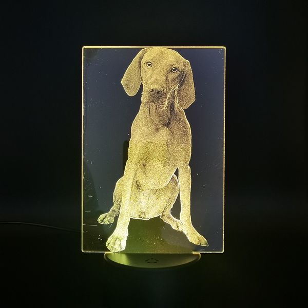 acrylic 3d night light hungarian vizsla led desk lamp animal nightlight pet dog rgb color app control party decor birthday gift
acrylic 3d night light hungarian vizsla led desk lamp animal nightlight pet dog rgb color app control party decor birthday gift