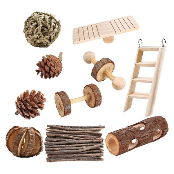 small animal supplies 10pcs/set molar toy safe multi-piece eye-catching hamster tree trunk set
small animal supplies 10pcs/set molar toy safe multi-piece eye-catching hamster tree trunk set