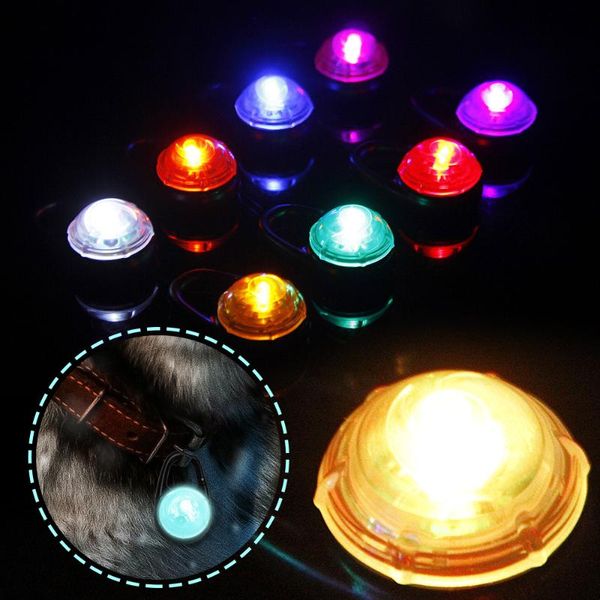 dog tag,id card pet night safety led collar pendant guide lights glowing necklace luminous glow in dark
dog tag,id card pet night safety led collar pendant guide lights glowing necklace luminous glow in dark