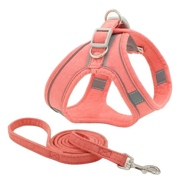 dog collars & leashes pet sturdy chest harness with leash reflective breathable adjustable personalized for small medium puppy
dog collars & leashes pet sturdy chest harness with leash reflective breathable adjustable personalized for small medium puppy
