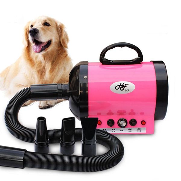 pet water blower hair dryer large dogs high power silent warm and cold 1200w electric brushes
pet water blower hair dryer large dogs high power silent warm and cold 1200w electric brushes