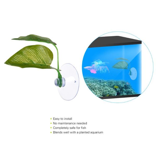 decorations artificial plant leaf betta hammock fish rest bed tropical saltwater aquarium accessories for aquariums supplies decoration
decorations artificial plant leaf betta hammock fish rest bed tropical saltwater aquarium accessories for aquariums supplies decoration