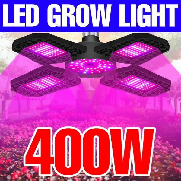 grow lights led plant lamp light 220v e27 phytolamp for plants lampara panel hydroponics bombilla 110v 200 300 400w tent bulbs
grow lights led plant lamp light 220v e27 phytolamp for plants lampara panel hydroponics bombilla 110v 200 300 400w tent bulbs