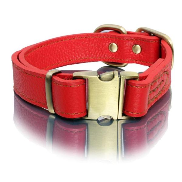 pet collar rope red and black dog adjustable length fashion leather comfortable durable the metal card buckles chains, Silver
pet collar rope red and black dog adjustable length fashion leather comfortable durable the metal card buckles chains, Silver