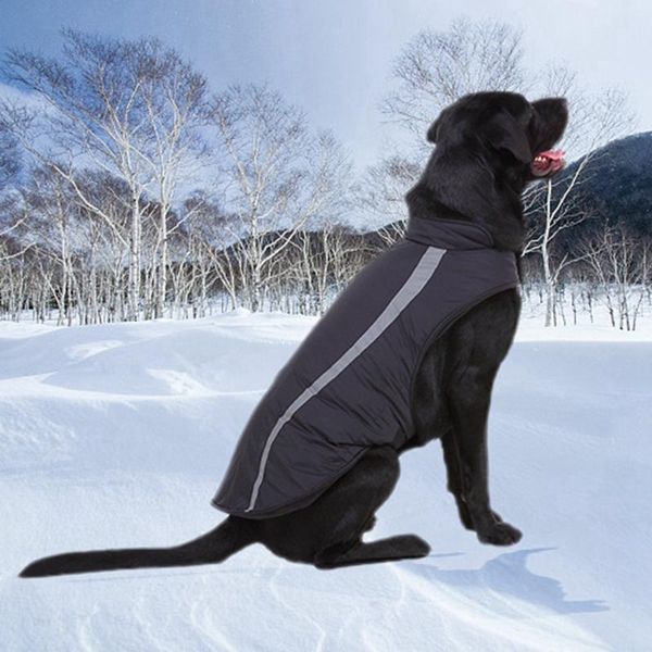 dog apparel reflective windbreaker outdoor jacket windproof clothes pet for large dogs thickening warm coat
dog apparel reflective windbreaker outdoor jacket windproof clothes pet for large dogs thickening warm coat