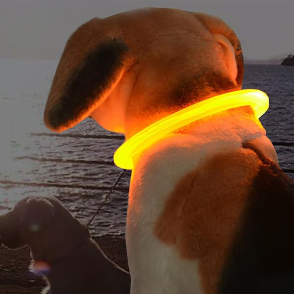 dog collars & leashes usb charging led collar pet anti-lost/avoid car accident for dogs night safety flashing glow products
dog collars & leashes usb charging led collar pet anti-lost/avoid car accident for dogs night safety flashing glow products