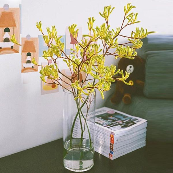 decorative flowers & wreaths real natural dried anigozantho smanglesii kangaroo flower plant bouquet floral arrangement home table bookr
decorative flowers & wreaths real natural dried anigozantho smanglesii kangaroo flower plant bouquet floral arrangement home table bookr