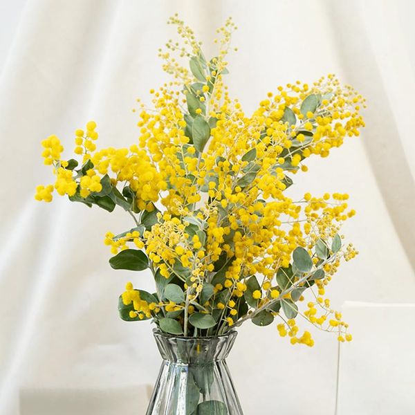 decorative flowers & wreaths a bunch of natural dried fresh acacia branch diy real forever flower party wedding room home decoration
decorative flowers & wreaths a bunch of natural dried fresh acacia branch diy real forever flower party wedding room home decoration