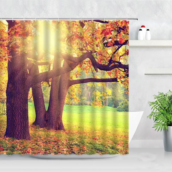 sunlight maple shower curtain set green grass autumn natural scenery modern waterproof fabric home decor hooks bathroom curtains
sunlight maple shower curtain set green grass autumn natural scenery modern waterproof fabric home decor hooks bathroom curtains