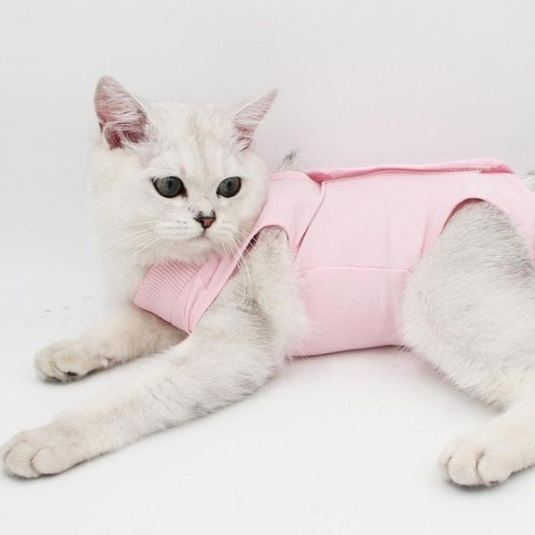 cat costumes dog sterilization clothes anti-licking elastic soft cotton material breathable comfortable durable pet care
cat costumes dog sterilization clothes anti-licking elastic soft cotton material breathable comfortable durable pet care