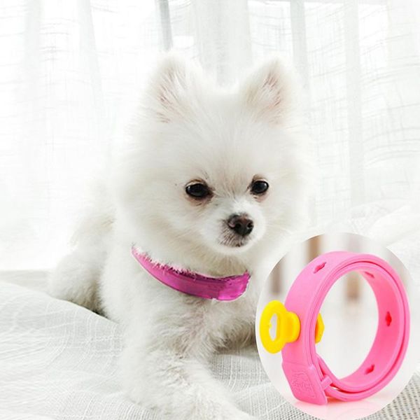 novelty pet dog cat collar neck ring tick mite louse remedy supplies pink leave away collars & leads
novelty pet dog cat collar neck ring tick mite louse remedy supplies pink leave away collars & leads