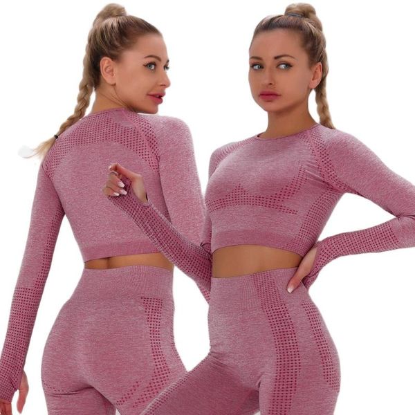 yoga outfit 2 pcs clothing set women sports fitness long sleeve crop and high waisted leggings for tracksuit 
yoga outfit 2 pcs clothing set women sports fitness long sleeve crop and high waisted leggings for tracksuit