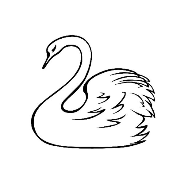 15.9cm*14.5cm cartoon swan beautiful vinyl car stickers black silver decal graphical
15.9cm*14.5cm cartoon swan beautiful vinyl car stickers black silver decal graphical