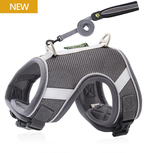 cat collars & leads mesh harnesses for cats summer breathable pet harness and leash set katten kitty mascotas products gotas accessories
cat collars & leads mesh harnesses for cats summer breathable pet harness and leash set katten kitty mascotas products gotas accessories