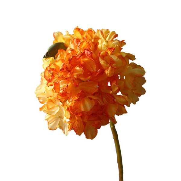 decorative flowers & wreaths simulation plants bouquet dried artificial home decoration floral retro style wedding 36cm hydrangea bridal foc
decorative flowers & wreaths simulation plants bouquet dried artificial home decoration floral retro style wedding 36cm hydrangea bridal foc