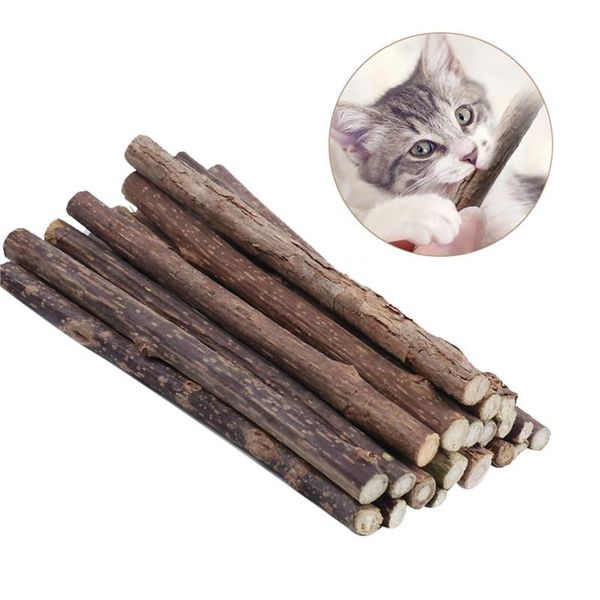 cat toys natural catnip pet molar toothpaste stick matatabi actinidia fruit silvervine sticks cleaning teeth chew
cat toys natural catnip pet molar toothpaste stick matatabi actinidia fruit silvervine sticks cleaning teeth chew