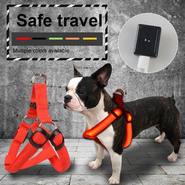 pet harness dog product flashing light leash belt led collar vest supplies nylon safety collars leads & leashes
pet harness dog product flashing light leash belt led collar vest supplies nylon safety collars leads & leashes