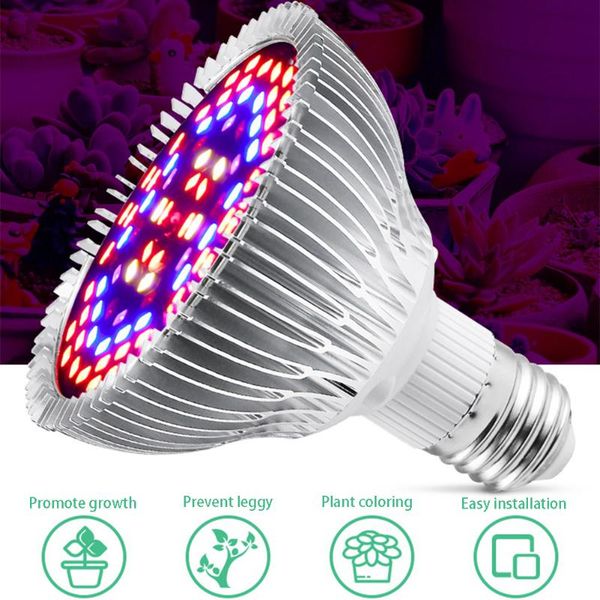grow light bulb hydroponics full spectrum greenhouse growth lamp for indoor plants vegetable seedings 5 sizes lights
grow light bulb hydroponics full spectrum greenhouse growth lamp for indoor plants vegetable seedings 5 sizes lights