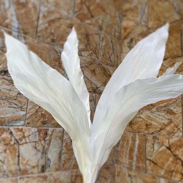 decorative flowers & wreaths 5pcs /10* 50cm eternelle white leaves dried natural preserved oncidium branch,home decor,floral arrangement
decorative flowers & wreaths 5pcs /10* 50cm eternelle white leaves dried natural preserved oncidium branch,home decor,floral arrangement