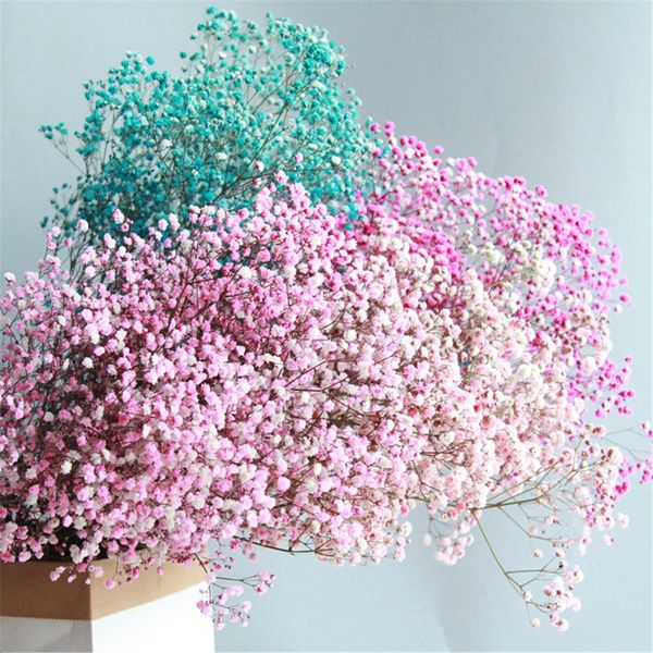 babies breath rea fowers gypsophia diy natura dried fower fora bouquets arrangement for wedding home decoration
babies breath rea fowers gypsophia diy natura dried fower fora bouquets arrangement for wedding home decoration