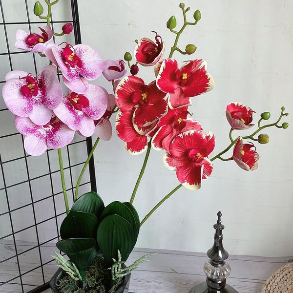 decorative flowers & wreaths luxury latex orchid with leaves artificial flower white butterfly orchids fake for home wedding decoration flor
decorative flowers & wreaths luxury latex orchid with leaves artificial flower white butterfly orchids fake for home wedding decoration flor