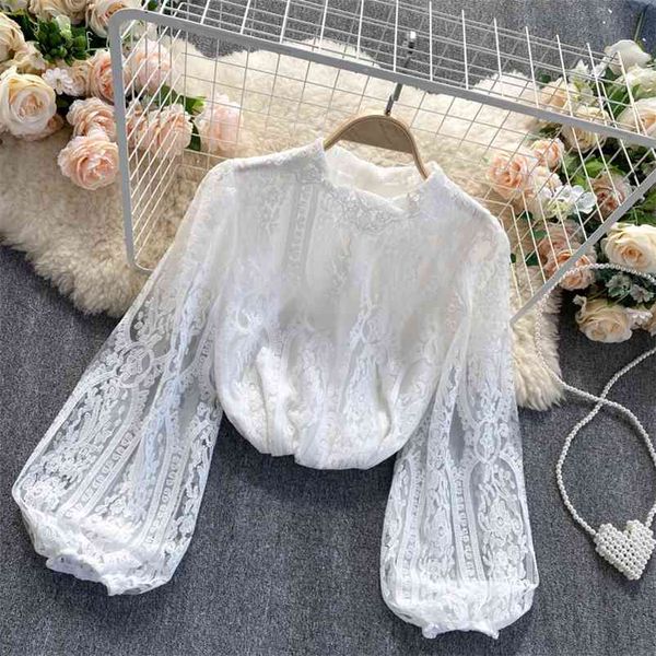 women's temperament stand-up collar slim puff sleeve sweet lace bottoming shirt uk800 210507, White
women's temperament stand-up collar slim puff sleeve sweet lace bottoming shirt uk800 210507, White