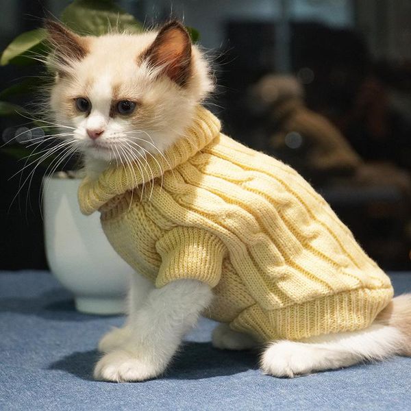 cute pet cat sweater luxury small dog clothes for pomeranian puppy kitty sphinx shirt in autumn winter costumes
cute pet cat sweater luxury small dog clothes for pomeranian puppy kitty sphinx shirt in autumn winter costumes