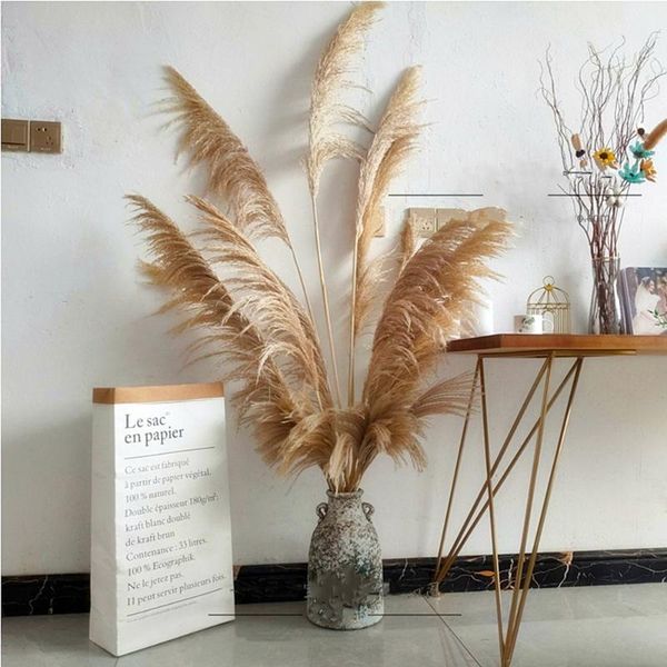 decorative flowers & wreaths 55-60cm dried flower natural reeds big pampas grass ornamental wedding shop decoration ornament home decor
decorative flowers & wreaths 55-60cm dried flower natural reeds big pampas grass ornamental wedding shop decoration ornament home decor