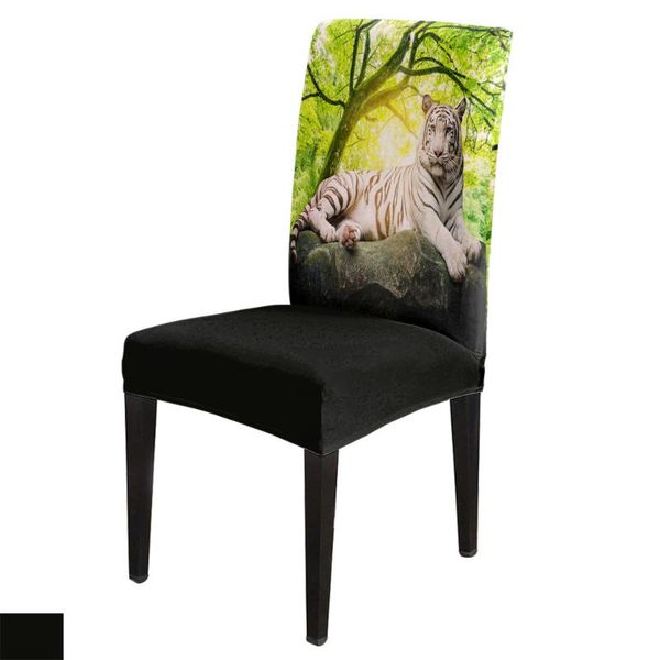 chair covers modern dining cover green forest animal white tiger stone home table chairs for kitchen tablecloth
chair covers modern dining cover green forest animal white tiger stone home table chairs for kitchen tablecloth