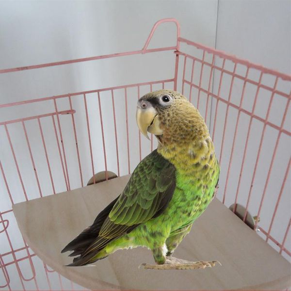small animal supplies 1pc pet bird parrot wood platform stand rack toy hamster branch perches for cage toys 3 sizes
small animal supplies 1pc pet bird parrot wood platform stand rack toy hamster branch perches for cage toys 3 sizes