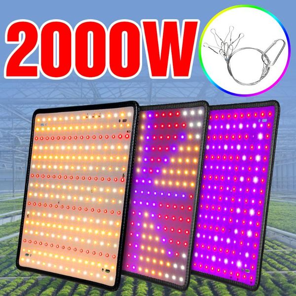 grow lights 2000w phytolamps led light full spectrum plant lighting quantum board 220v fito lamps for indoor flower growth tent box
grow lights 2000w phytolamps led light full spectrum plant lighting quantum board 220v fito lamps for indoor flower growth tent box
